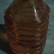 湖南邵阳武冈山茶籽油