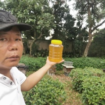 梅妃故里，贵妃**，纯正封盖成熟2026年新出荔枝蜜