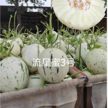 流星蜜3号白肉流星厚皮甜瓜200粒/袋