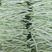白豆
