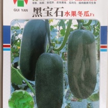 可以生食的迷你型冬瓜种子新品种绿肉脆爽果型优美