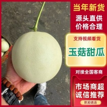 精品玉菇甜瓜寿光冰淇淋玉菇大量上市对接全国市场商超