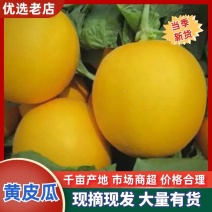 精品黄皮瓜保质保量山东寿光黄皮甜瓜全国发货