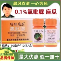 重庆诺意项好顶好氯吡脲蘸花药沾花坐果座瓜灵葡萄西瓜果类膨