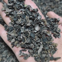 东北黑木耳牙子批发高泡发率木耳碎干货熬酱做馅电商地摊包邮