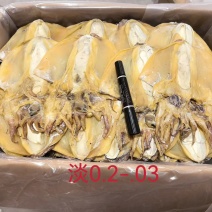 浙江深海大只墨鱼干浙江好货肉质厚实营养滋补