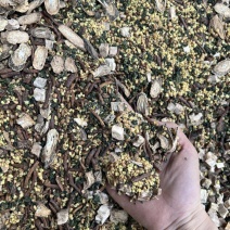 三高茶养生茶有牛蒡根茶内涵多种配料干净无杂质煮水泡水批发