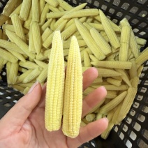 去皮玉米笋