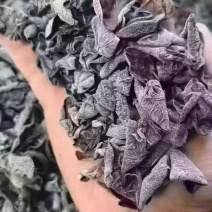 黑木耳可地摊商超餐饮可视频看货现货供应