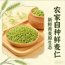 新鲜青麦仁支持代发直接批发