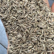 包邮精品新疆孜然颗粒新疆孜然粉定制打粉粗细