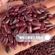 缅甸进口红腰豆