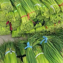 蒜薹产地直发欢迎全国各地老板合作