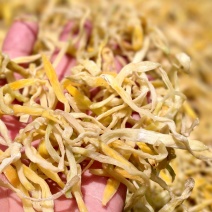 祁东黄花菜干货金针菜火锅麻辣烫凉拌菜新鲜散装9成以上干