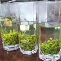 贵州高山锌硒有机茶