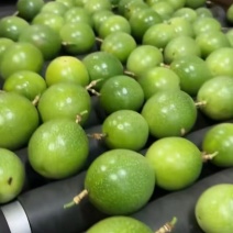 精品百香果钦蜜9号百香果大量供应货源充足，一手货源