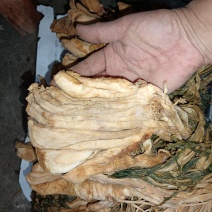 大头菜