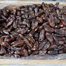 伊朗黑椰枣各种规格都有一手货源价格优惠供应全国