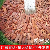 松树皮市政绿化园林造景工程用