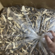鹿茸菇可地摊商超餐饮可视频看货现货供应