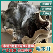 2026精品毛木耳批发山东济宁鱼台厂区直供头茬毛木耳丝