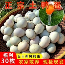 大个生鸭蛋土鸭蛋正宗鸭蛋新鲜农家散养鸭蛋现捡现发破损包赔