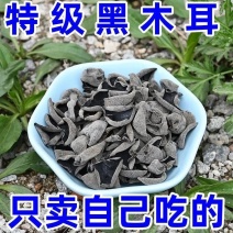 净重半斤】东北木耳特产黑木耳小碗长白山干货野椴木生级无根