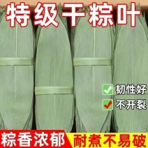 【特大号】新鲜粽叶大叶干粽叶包粽子叶野生天然棕叶干粽叶