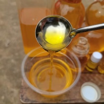 广西高山茶油