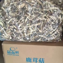 干鹿茸菇