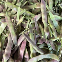 油豆大量上市