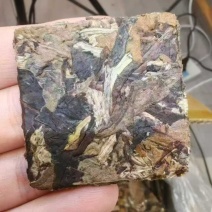 老白茶小方片光片工厂直销，全国发货，价格有优势