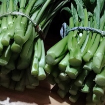 菜心