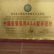 自产自销保质量