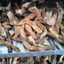 菲牛蛭冻干粉菲牛蛭冻干条天然水蛭素