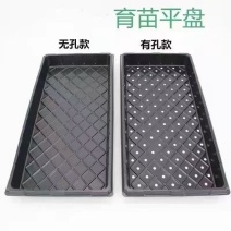 平盘育苗盘托盘穴盘无孔托盘芽菜苗盘育苗盘配套托盘