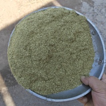 松针粉
