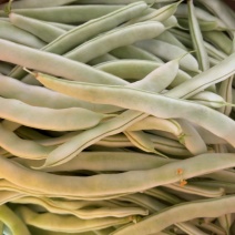 白不老四季豆油豆