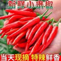 小米椒两斤新鲜新鲜现采摘现发朝天椒全红小米椒可做泡椒