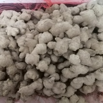 陕西老姜干姜30斤起步，西安市区内免费送货