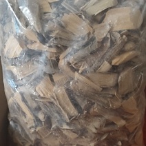 猫尾木根（干）