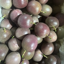 蜜桃百香果140亩种植基地，市场、电商一件代发包售后