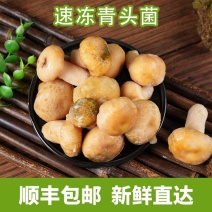 速冻青头菌云南特产源头基地供货可食用新鲜食材火锅炒菜菌香
