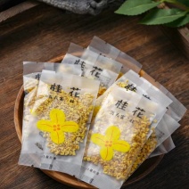 冻干桂花