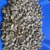 咖啡生豆水洗咖啡生豆一级阿拉比卡卡蒂姆云南普洱咖啡