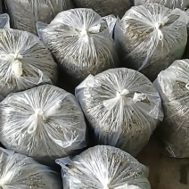 自家产地大量雪菜。量大，量大。需要的老板滴滴我。