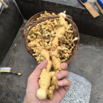 农家土特产