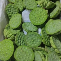 海南水果莲蓬基地直供全国各地海南莲蓬航空