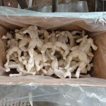 牛蛙60到110克，嫩化处理的，洗冰6.8斤净重，1600箱