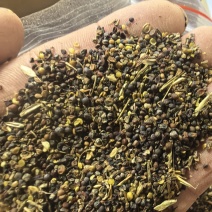 菜籽下脚料装车